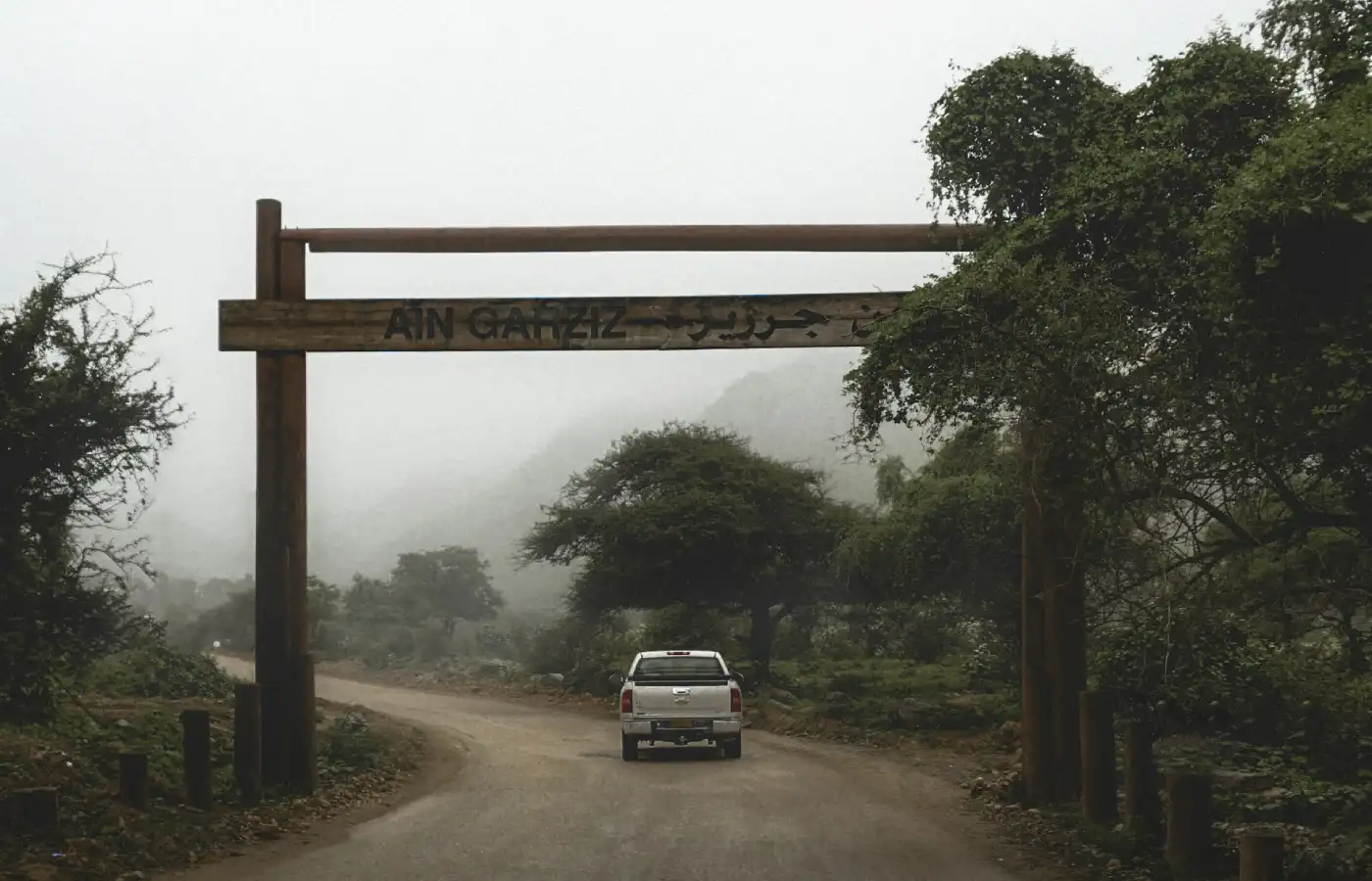 White vehicle in road during daytime.