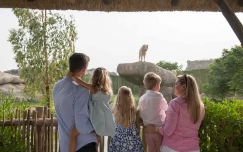 Dubai Safari Park.