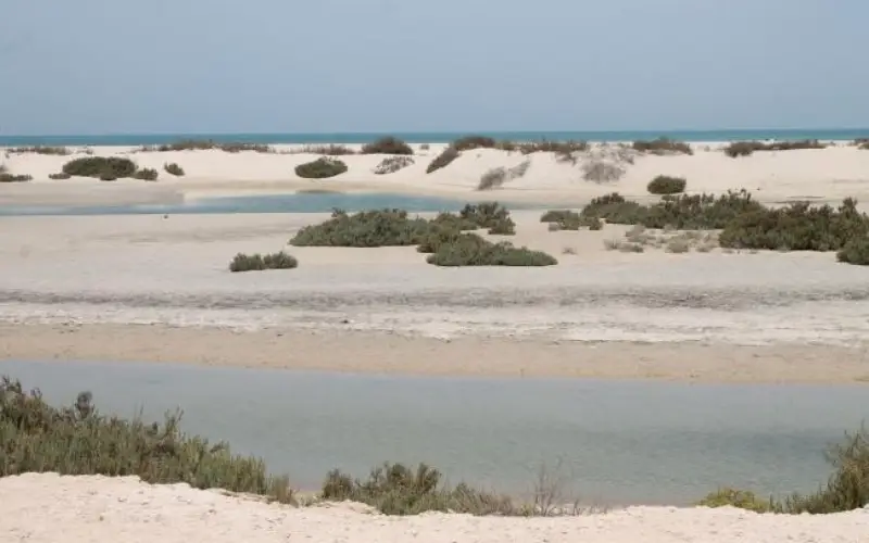 Jebel Ali Wetland Sanctuary