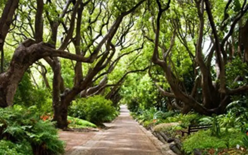 Sharjah Desert Park
