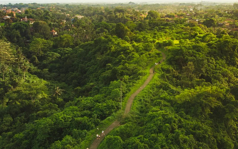 Campuhan Ridge Walk