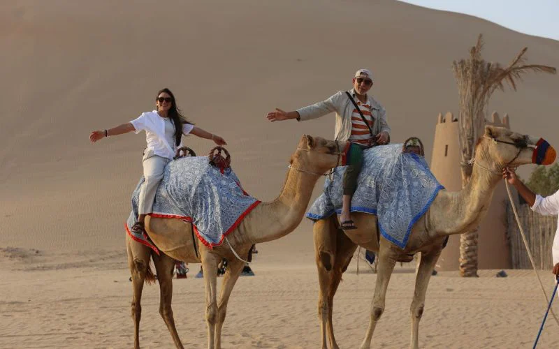 camel trekking in Abu Dhabi
