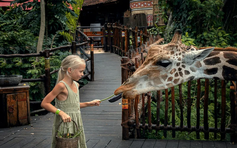 Giraffe feeding platforms Safari World- Bangkok