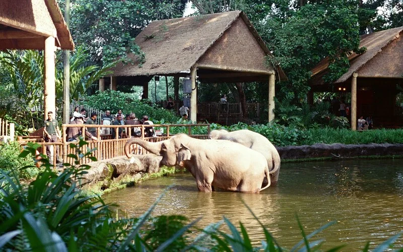 Safari Park
