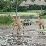 Safari World Bangkok