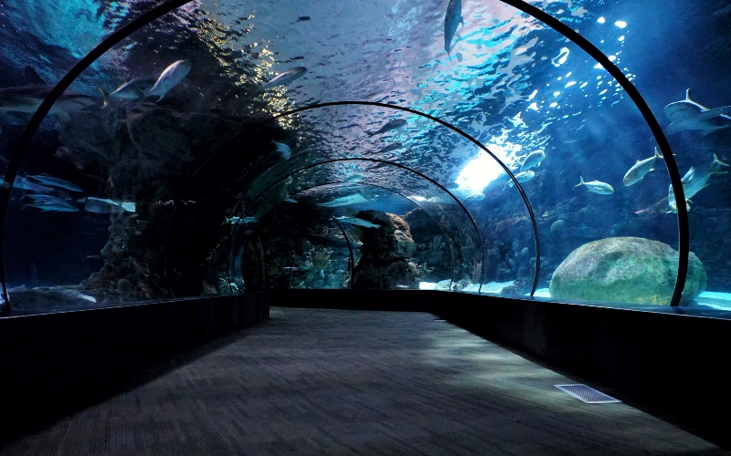 An image of an underwater attraction in Dubai