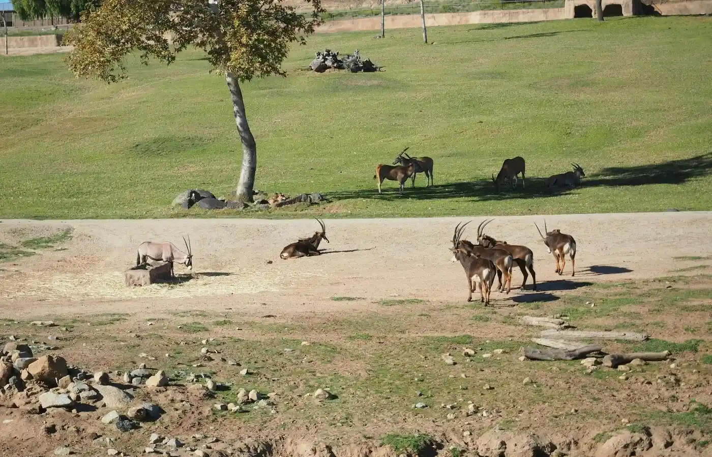 Wildlife Experience in Singapore