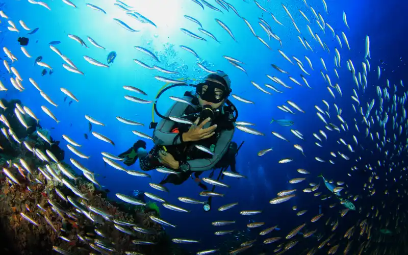 Man doing Scuba diving with fish