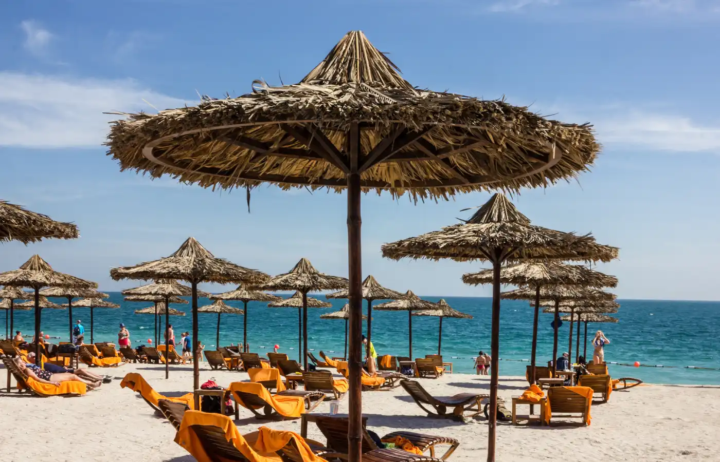 Beach in Sir Bani Yas island.