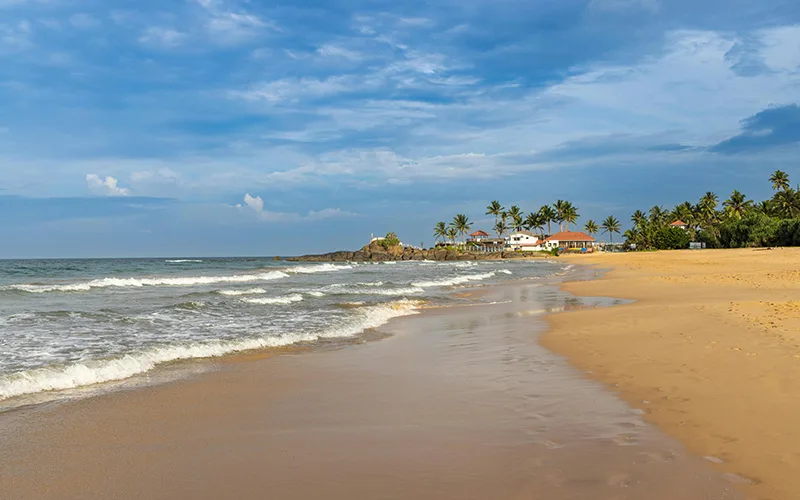 Beach in Bentota, Sri Lanka, with palm trees and a house visible in the distance.