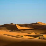 Fossil Dunes formed in the deserts
