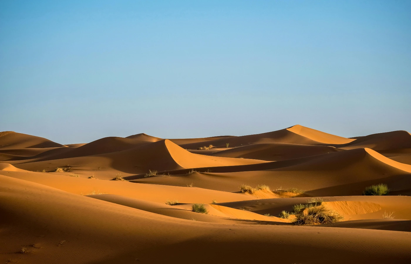 Fossil Dunes formed in the deserts