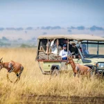 Tourist enjoying a safari experience in Kenya.